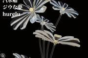 現実と幻想の境目