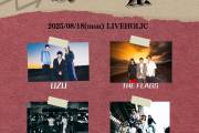 LIVEHOLIC 10th Anniversary series～衝動交差点~
